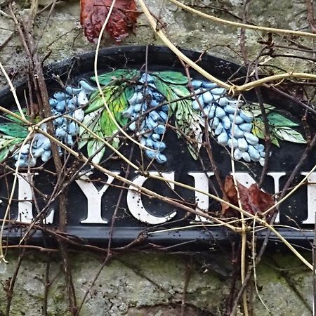 Le Glycine A Manoir Sainte Cecile Daire Juvigny-Val-d'Andaine Dış mekan fotoğraf