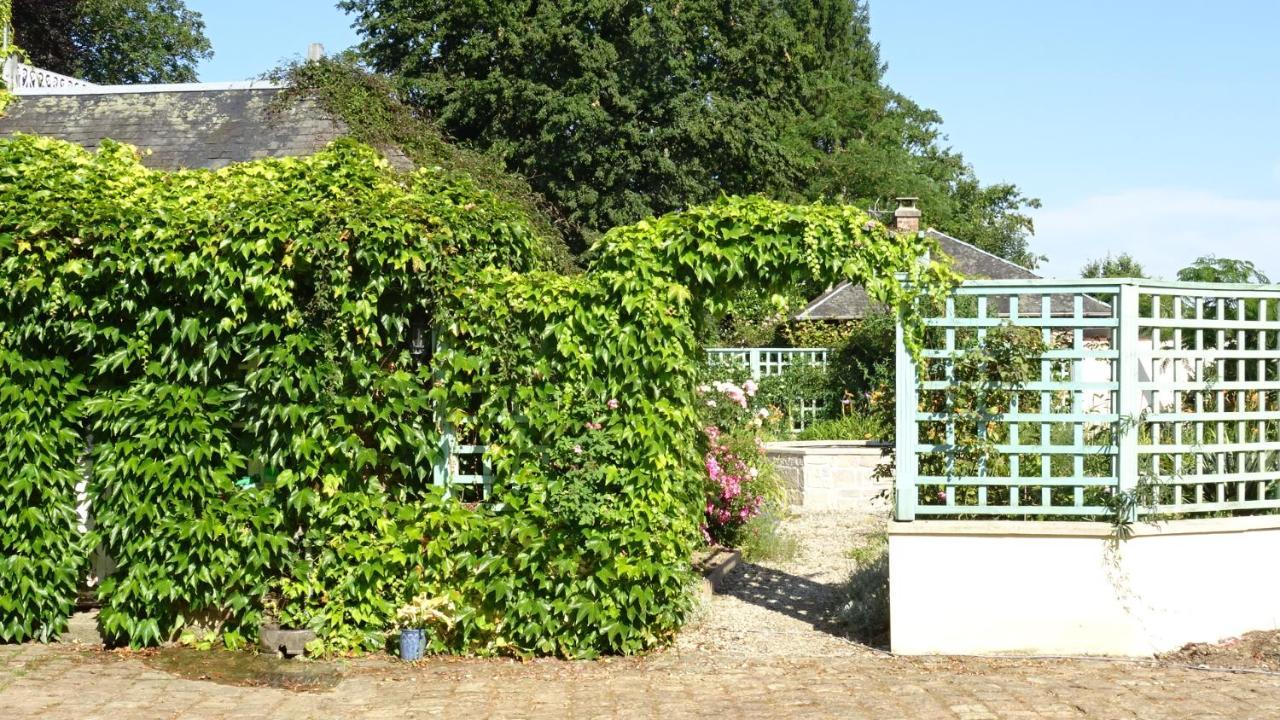 Le Glycine A Manoir Sainte Cecile Daire Juvigny-Val-d'Andaine Dış mekan fotoğraf