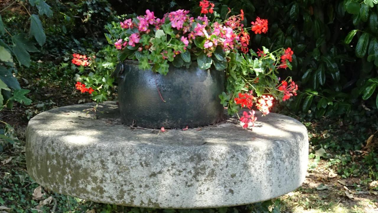 Le Glycine A Manoir Sainte Cecile Daire Juvigny-Val-d'Andaine Dış mekan fotoğraf